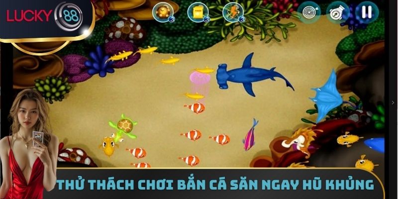 Thử thách chơi bắn cá săn ngay hũ khủng